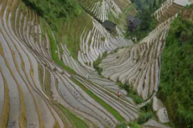 CHINY - MAKAU - HONGKONG